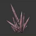 Purple Plants With Tall And Small Spiky Structures On White Background With Reflective Surfaces