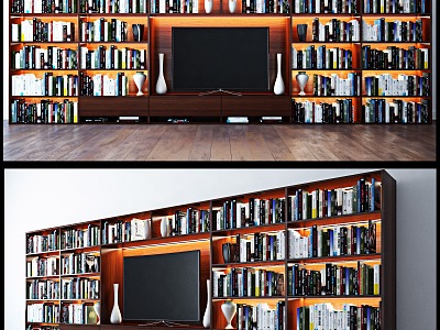 Bookcase TV Cabinet Books TV model