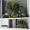 Modern Wooden Entrance Door With Gray Wall Green Plants And Small Tree Outside