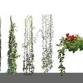 Various Green Leafy Vines with Red Flowers and Different Climbing Growth Patterns 3d model
