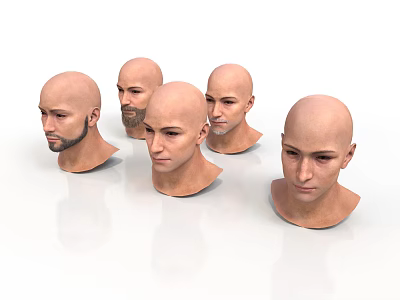 Male Bald Head Models With Different Angles And Expressions On White Surface 3d model