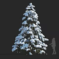 Tall Snow Covered Evergreen Tree With White Snow Accumulation And Human Silhouette 3d model