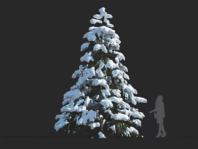 Tall Snow Covered Evergreen Tree With White Snow Accumulation And Human Silhouette 3d model