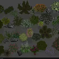 Various Assorted Flowers and Plants with Stones in Greenery Collection