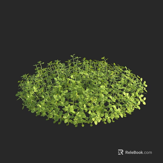 Lush Green Aquatic Plants with Dense Fresh Leaf Growth in Round Cluster 3d model 