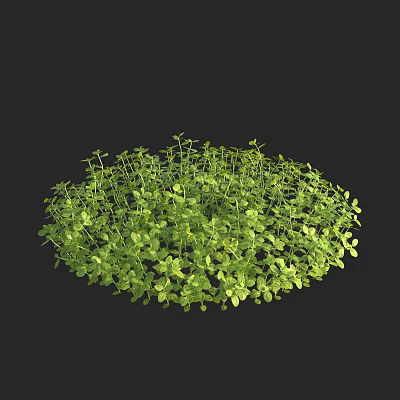 Modern micro-flowers large pearl grass dwarf baby tear grass aquatic plants aquatic plants 3d model
