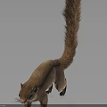 Detailed 3D Rendered Light Brown Squirrel with Long Bushy Tail in Standing Posture