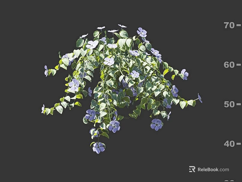 Vibrant Flowering Shrub With Purple Blossoms And Lush Green Leaves For Garden Landscape 3d model 