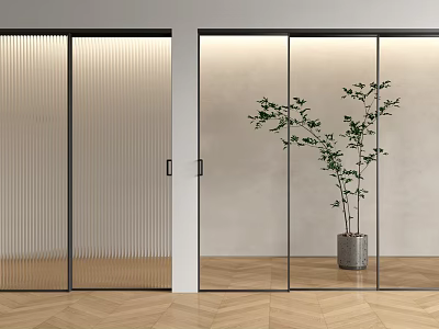 Modern Interior Sliding Doors With Ribbed Clear Glass Panels Potted Plant Wooden Floor 3d model