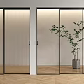 Modern Interior Sliding Doors With Ribbed Clear Glass Panels Potted Plant Wooden Floor