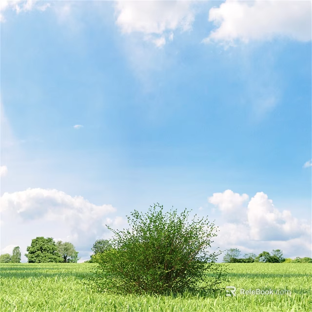 Vibrant Green Shrub Thriving In Open Grassland Under Blue Sky With White Clouds And Trees 3d model 