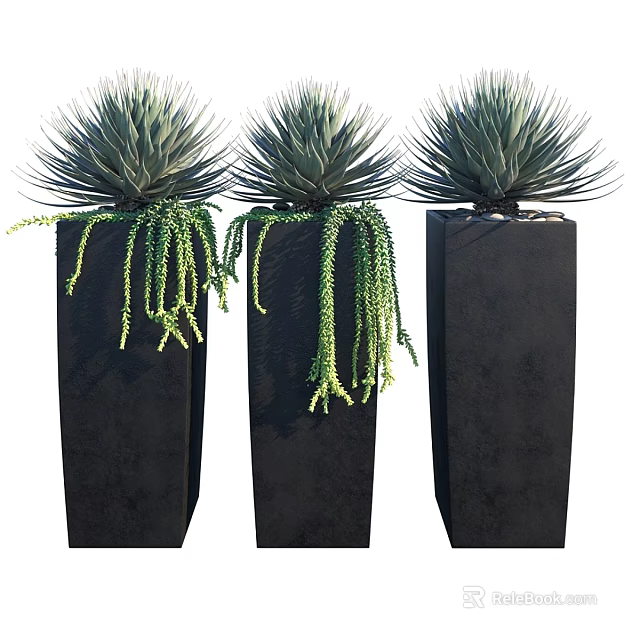 Decorative Ornament Set With Three Black Square Planters And Green Hanging Vines 3d model 