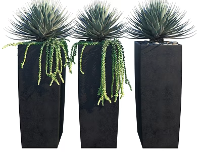 Decorative Ornament Set With Three Black Square Planters And Green Hanging Vines 3d model