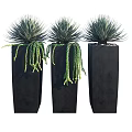 Decorative Ornament Set With Three Black Square Planters And Green Hanging Vines