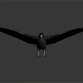 Black Bird With Spread Wings And Red Beak Standing On Gray Background 3d model