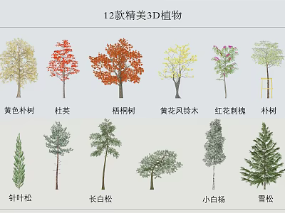 modern tree arbor 3d model