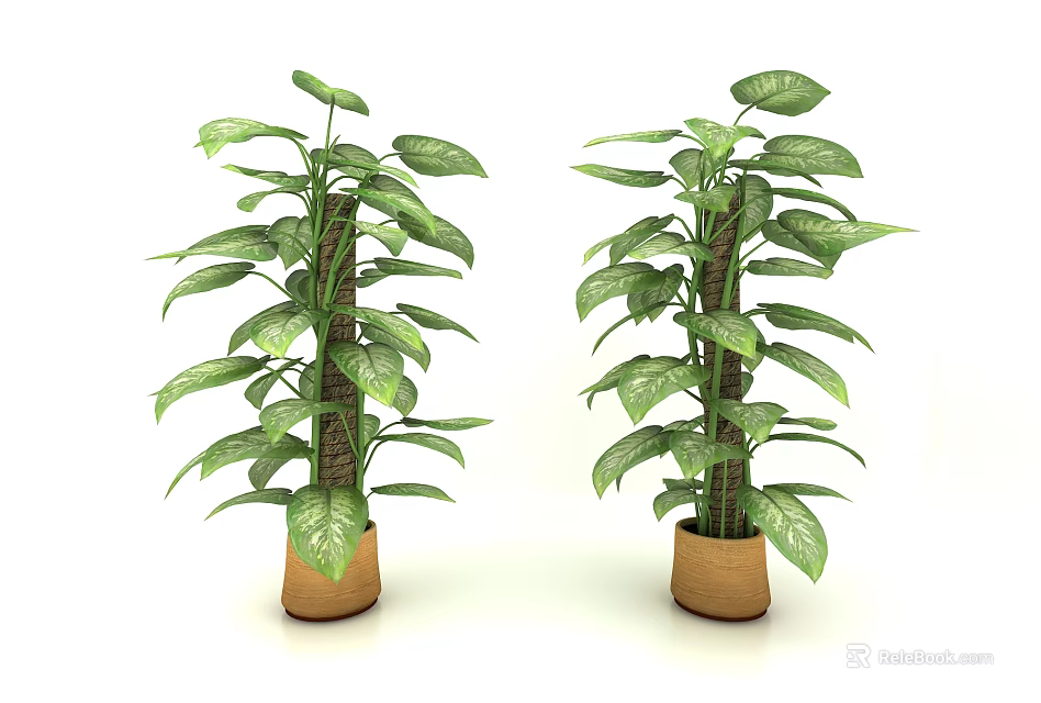 Two Lush Indoor Bonsai Potted Plants With Green Leaves In Brown Clay Pots 3d model 