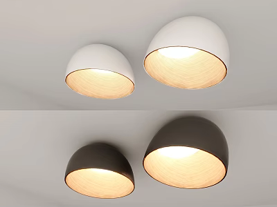 Modern Round Ceiling Lights in White and Black Illuminated on Ceiling 3d model