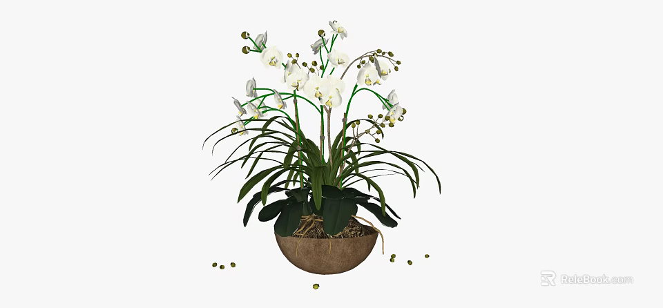 Bonsai Potted Plant With White Flowers And Long Green Leaves In Brown Pot 3d model 