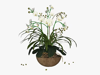 Bonsai Potted Plant With White Flowers And Long Green Leaves In Brown Pot 3d model