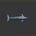 Blue And White Dolphin Model With Glossy Surface And Detailed Design On Gray Background
