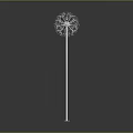 Dandelion Plant With Silver Stem And White Fluffy Seed Head Against Gray Background
