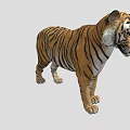 Realistic 3D Tiger Model With Detailed Fur And Striped Pattern 3d model