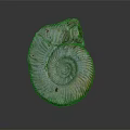 Decorative Ornament Set with Ammonite Fossil Spiral Design Purple Brown Glossy Surface for Home Decor