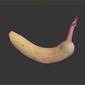Ripe Yellow Banana With Brown Spots On Black Surface With Reflection 3d model