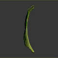 Fresh Green Leaf With Clear Veins On Grey Background Showing Natural Details And Moisture Spots