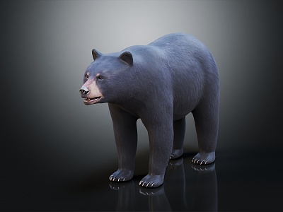 Modern Bear Black Bear Big Bear model