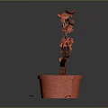 Potted Plant With Red Flowers Brown Trunk Red Textured Pot And Scattered Red Petals