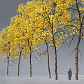 Four Yellow Leaf Trees as Garden Ornaments with Gray Background 3d model