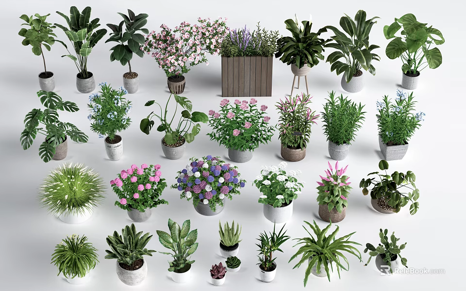 Variety of Potted Indoor Plants With Different Sizes Colors and Leaf Types 3d model 