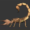 Detailed 3D Rendered Scorpion Model With Brown Exoskeleton And Dark Background Reflection