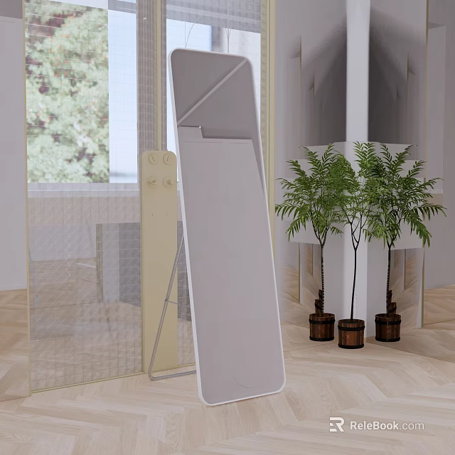 Full Length Standing Mirror In Modern Living Room With Potted Plants And Wooden Floor 3d model 