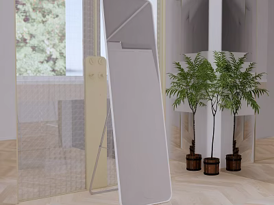 Full Length Standing Mirror In Modern Living Room With Potted Plants And Wooden Floor 3d model