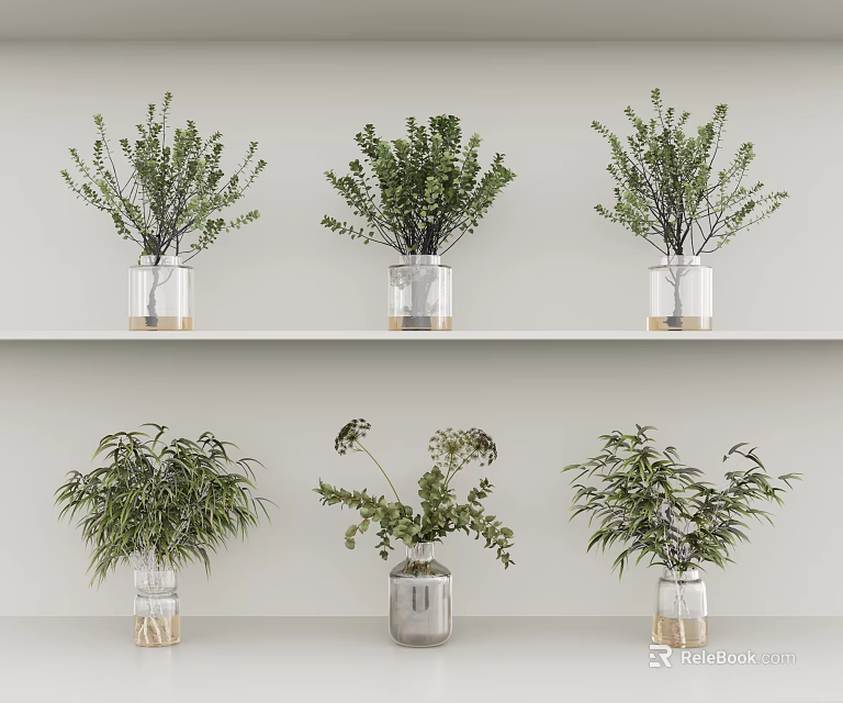 Clear Glass Vases With Various Green Plants Arranged On White Shelves For Home Decor 3d model 