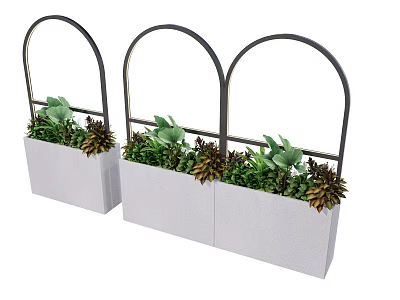 Three White Rectangular Planters With Black Arched Frames Filled With Green Plants And Succulents 3d model