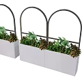Three White Rectangular Planters With Black Arched Frames Filled With Green Plants And Succulents