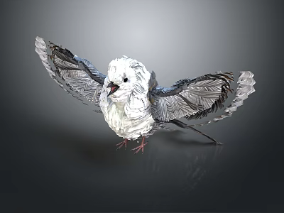 White Bird Spreading Wings With White And Gray Feathers On Dark Background 3d model