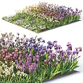 Colorful Flowers and Plants With Vibrant Blooms Green Foliage in Garden