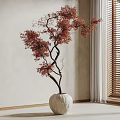 Red Leaf Bonsai with Twisted Trunk in White Stone Pot and Wooden Blinds