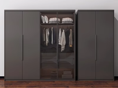 Modern Dark Gray Wardrobe With Glass Door And Hanging Clothes And Shoes Storage 3d model