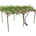 Lush Garden Pergola Covered With Green Climbing Vines And Fresh Foliage