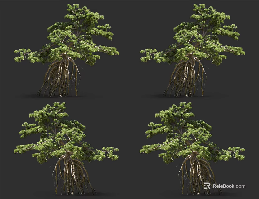 Lush Green Trees With Exposed Roots In Multiple 3D Render Views 3d model 
