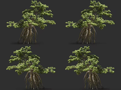 Lush Green Trees With Exposed Roots In Multiple 3D Render Views 3d model