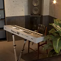 Roland XB Electronic Musical Keyboard In Studio With Chair Plant And Audio Gear