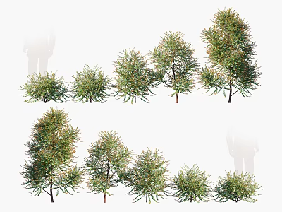 Different Types Of Arbor Trees With Green Foliage And Various Sizes 3d model