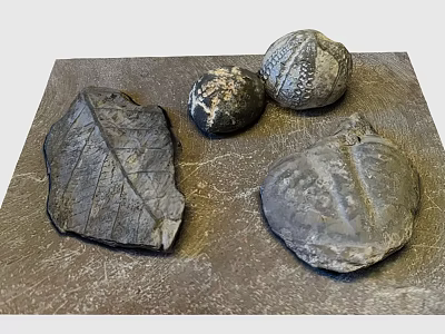 Natural Stone And Wood Decorative Pieces With Artisanal Textured Surfaces 3d model